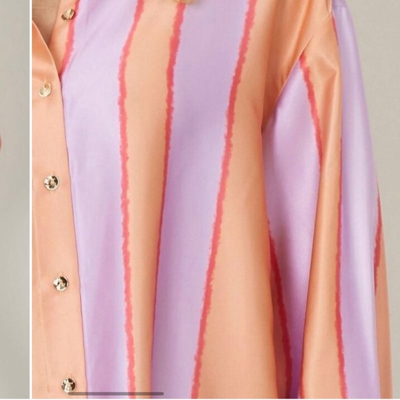 ENTRO Striped Long Sleeve Satin Like Button Down With Gold Buttons NWT - Picture 6 of 13